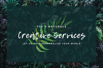 Creative Services